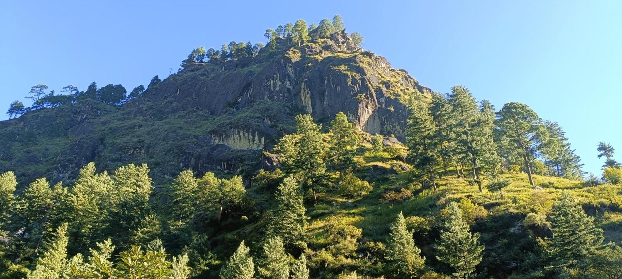 Отель Dog N Hill Касоль Экстерьер фото